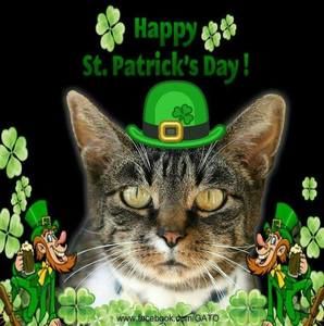 Meet your Posher, Jo